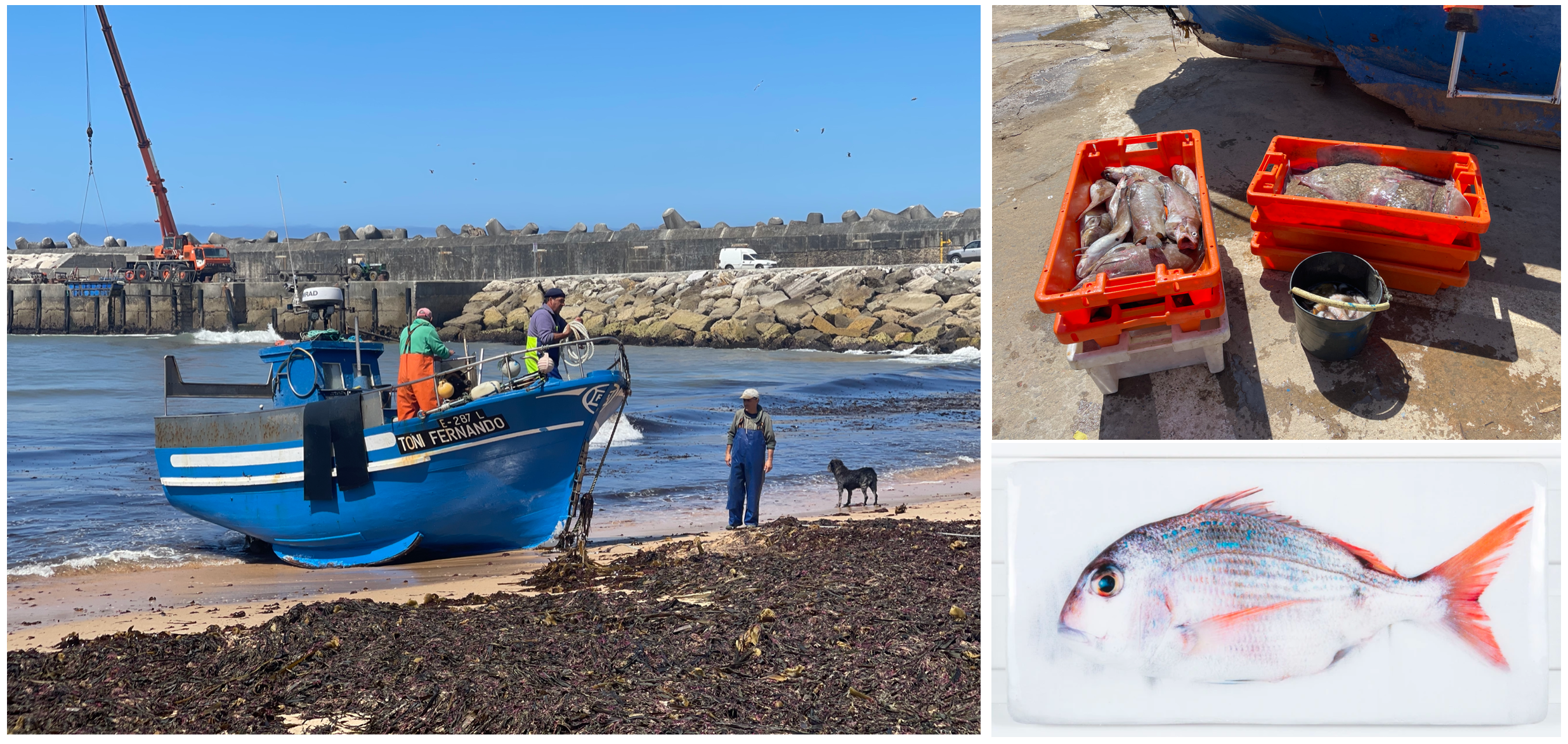 ericeira fisherman village portugal