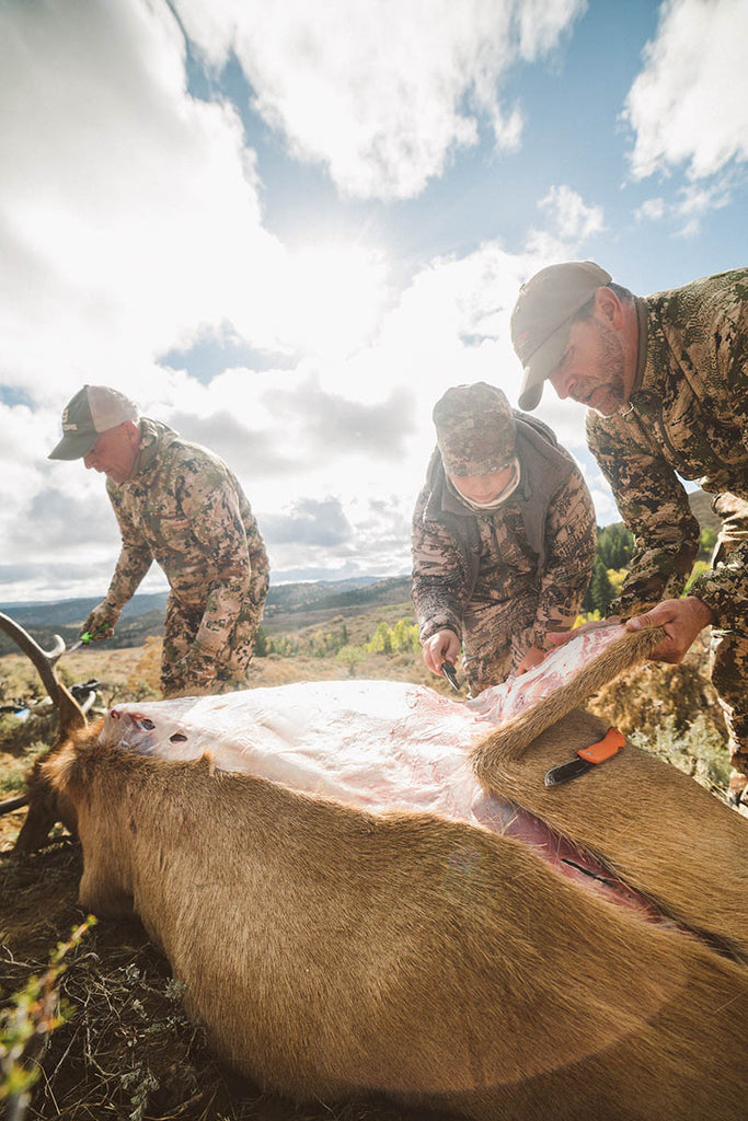 elk carcass