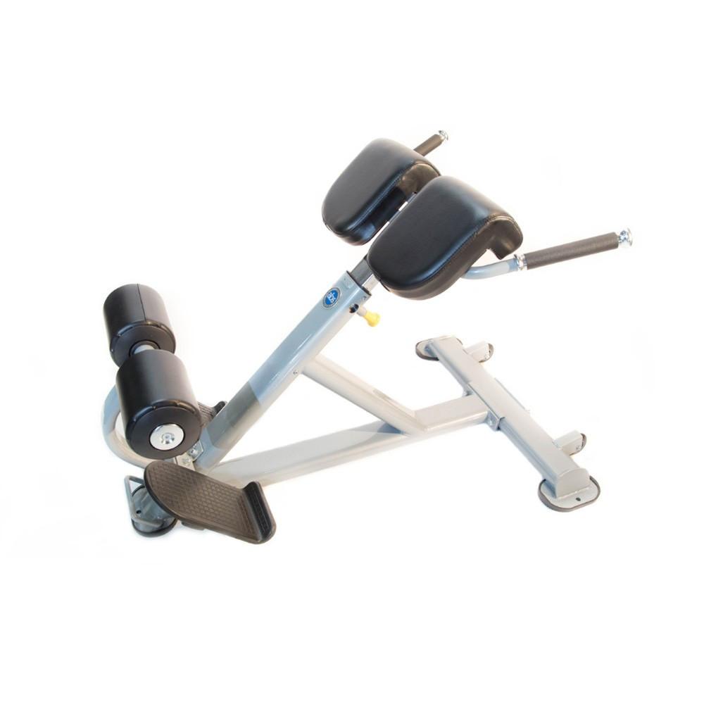 Fitnesslook ru. Скамья ab Coaster x3s. Ab Coaster тренажер. Тренажер для пресса Precor ab-x abdominal Trainer. Body-Solid PR-82/GPR-82/PPR-82.