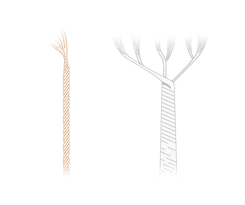 image comparing single ply cotton vs mulitply cotton