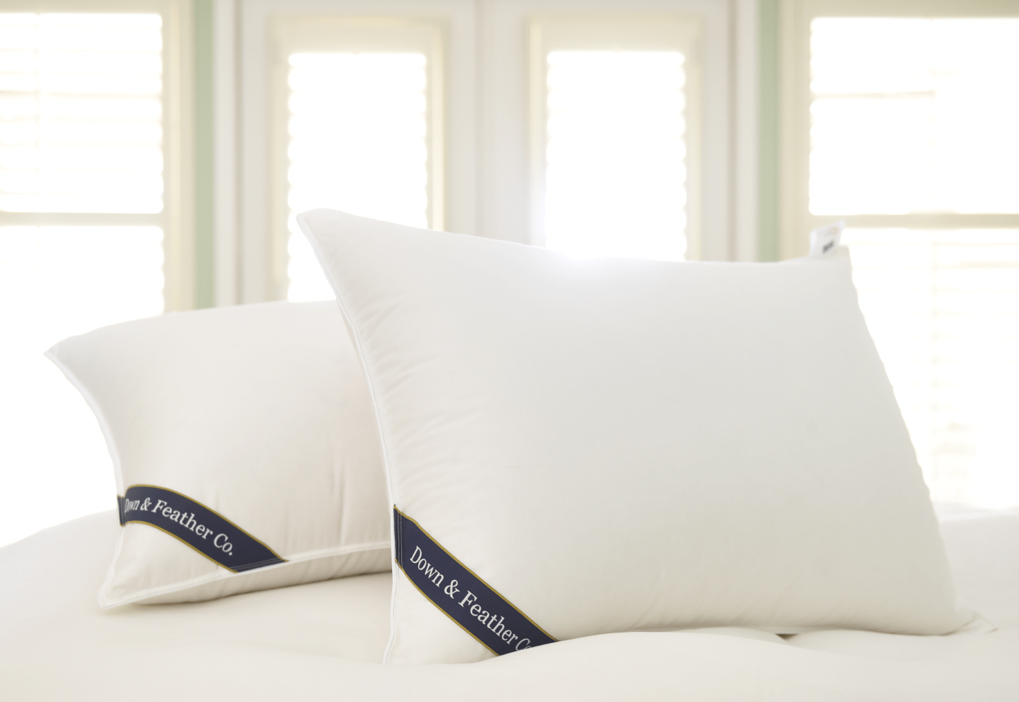 Snuggle Soft 850 Fill Goose Down Pillows | Down & Feather Co