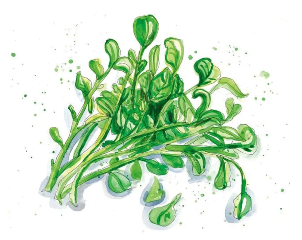 WATERCRESS