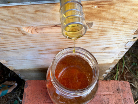 Honey pouring into Jar