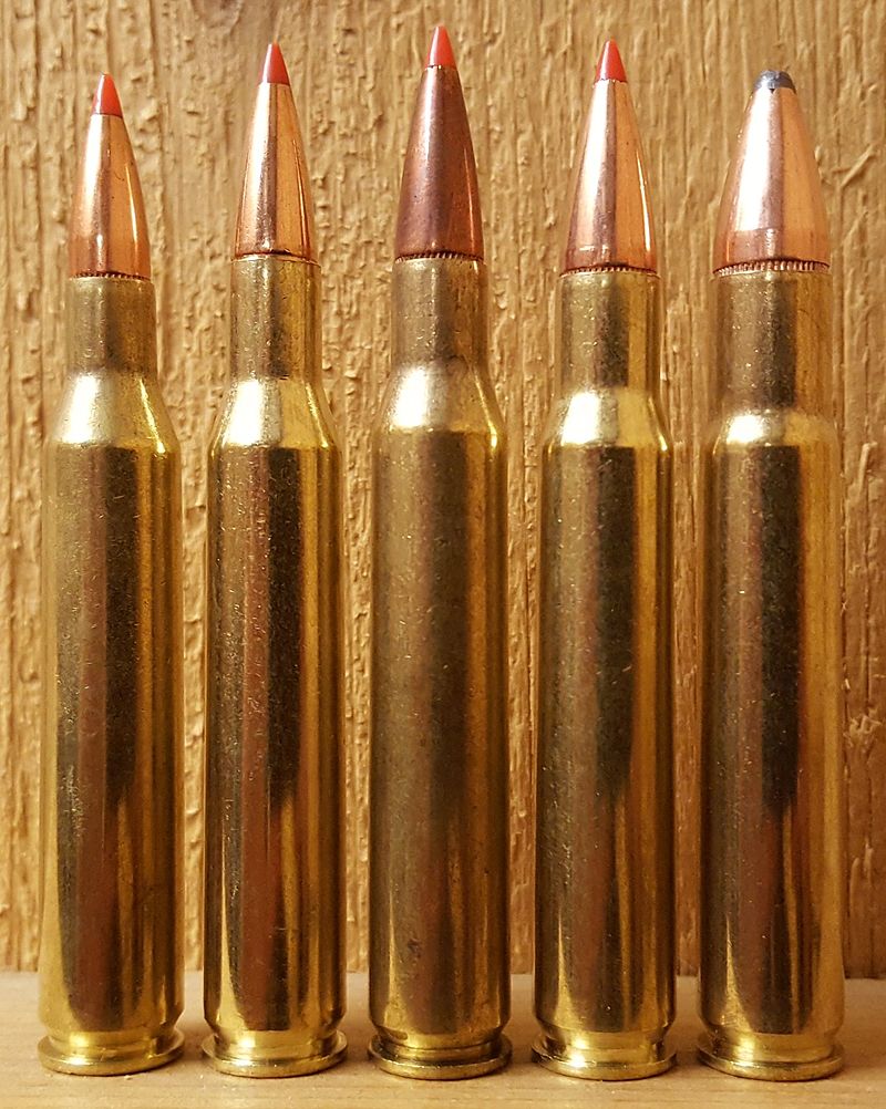  .270 Win Review: Pros and cons of the .270 Win