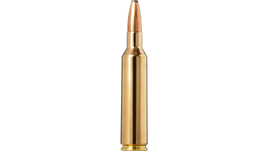  7 mm Blaser Mag Review: Pros and cons of the 7 mm Blaser Mag