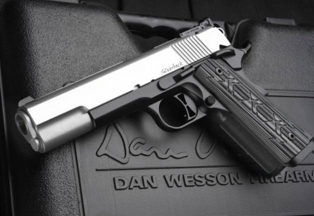 Dan Wesson Silverback Review: Pros and cons of the Silverback