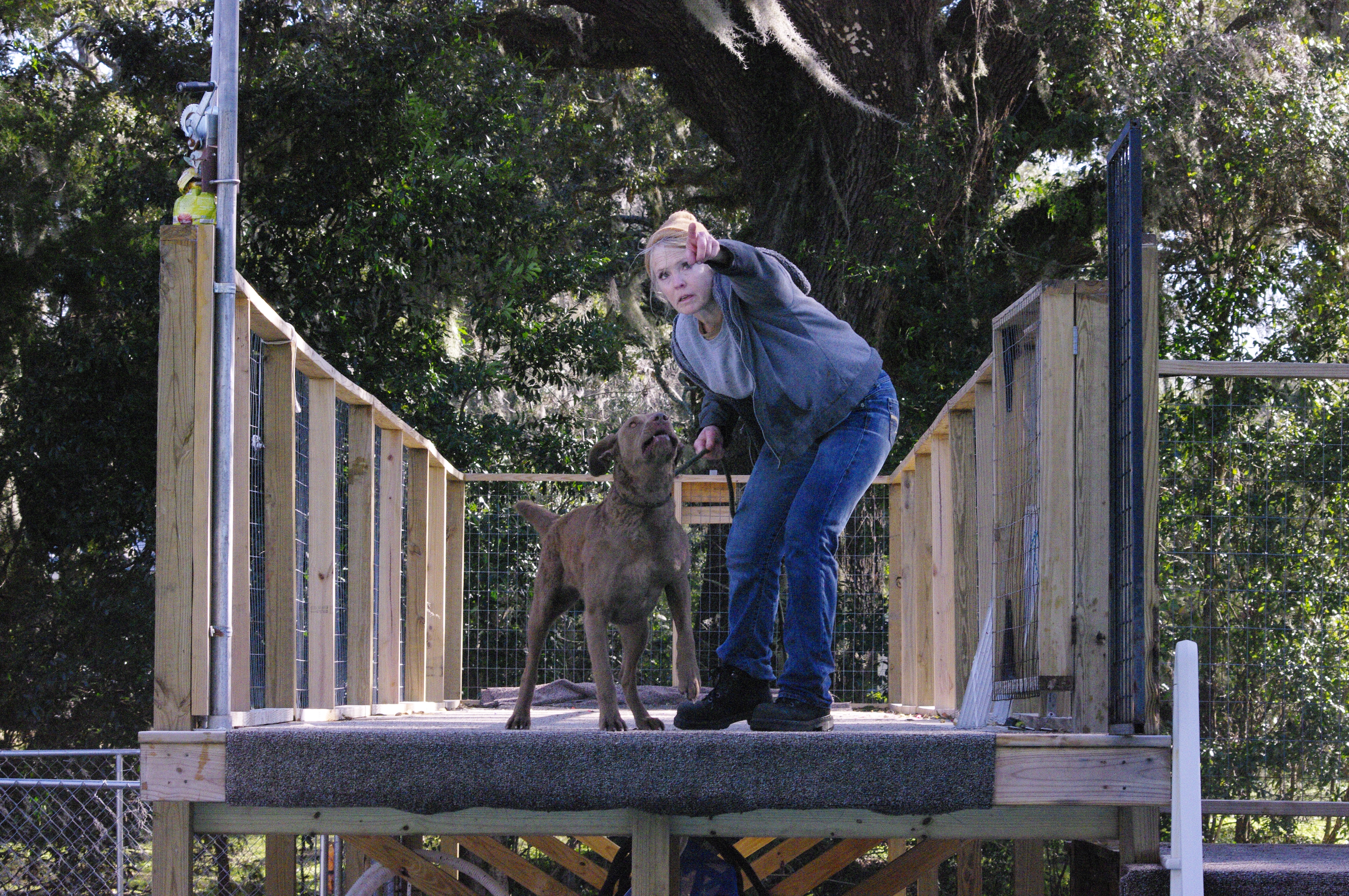 Dock dogs charleston