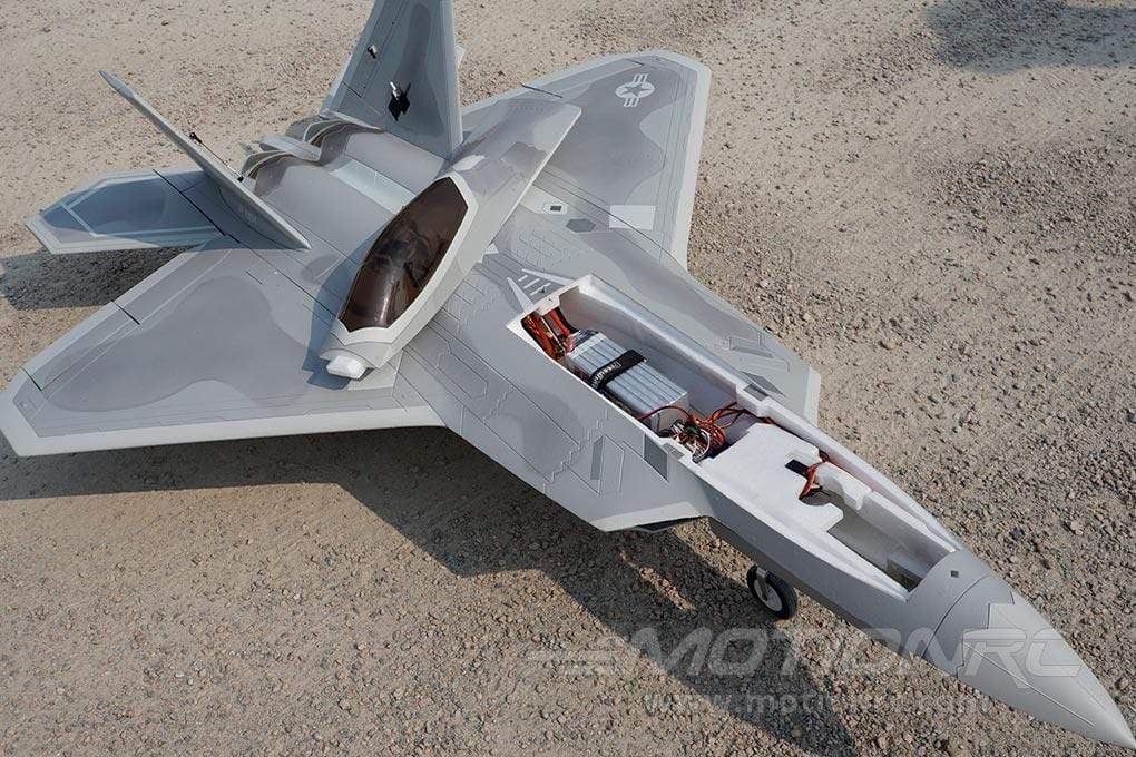 freewing f 22 raptor