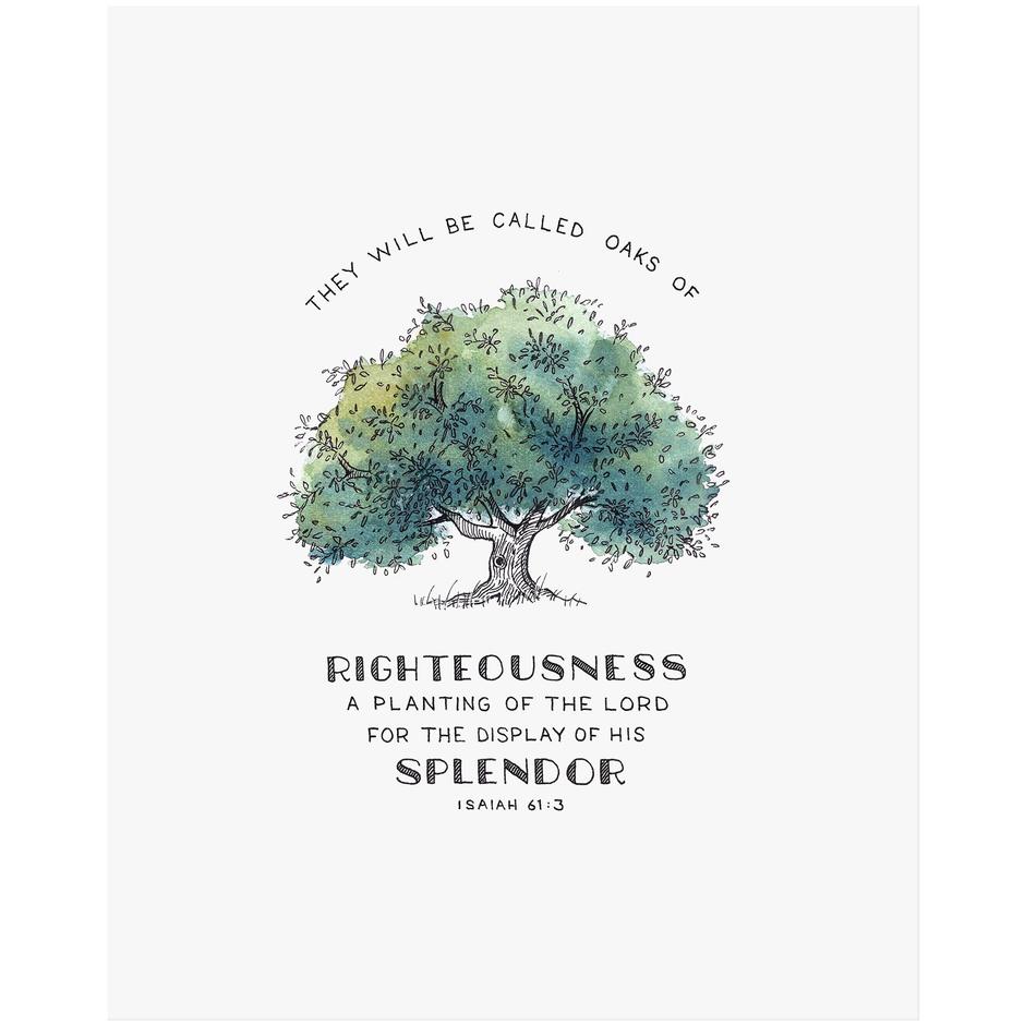 Isaiah 61:3 - Oak of Righteousness They will be called oaks of righteousness, a planting of the Lord for the display of his splendor.