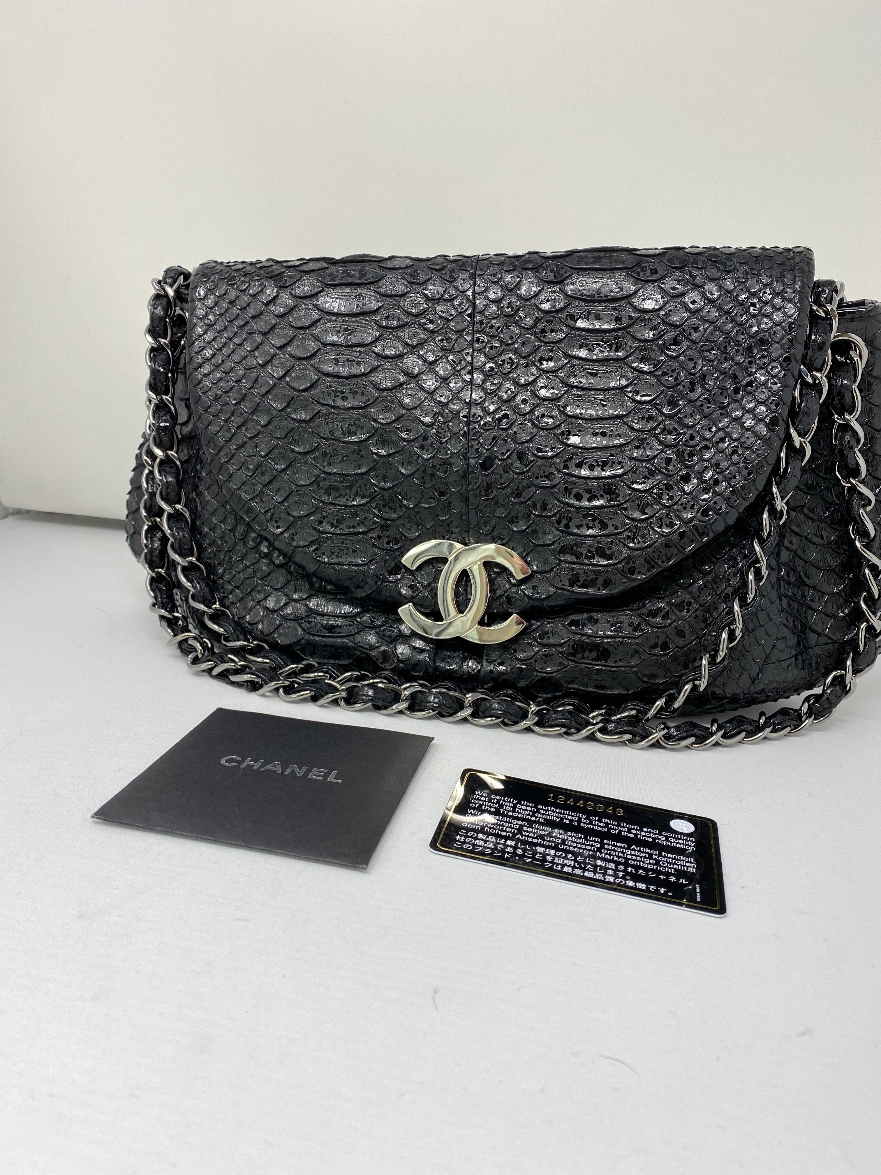 Chanel Fall Winter 2018 Exotic Bag Collection Act 2  Bragmybag