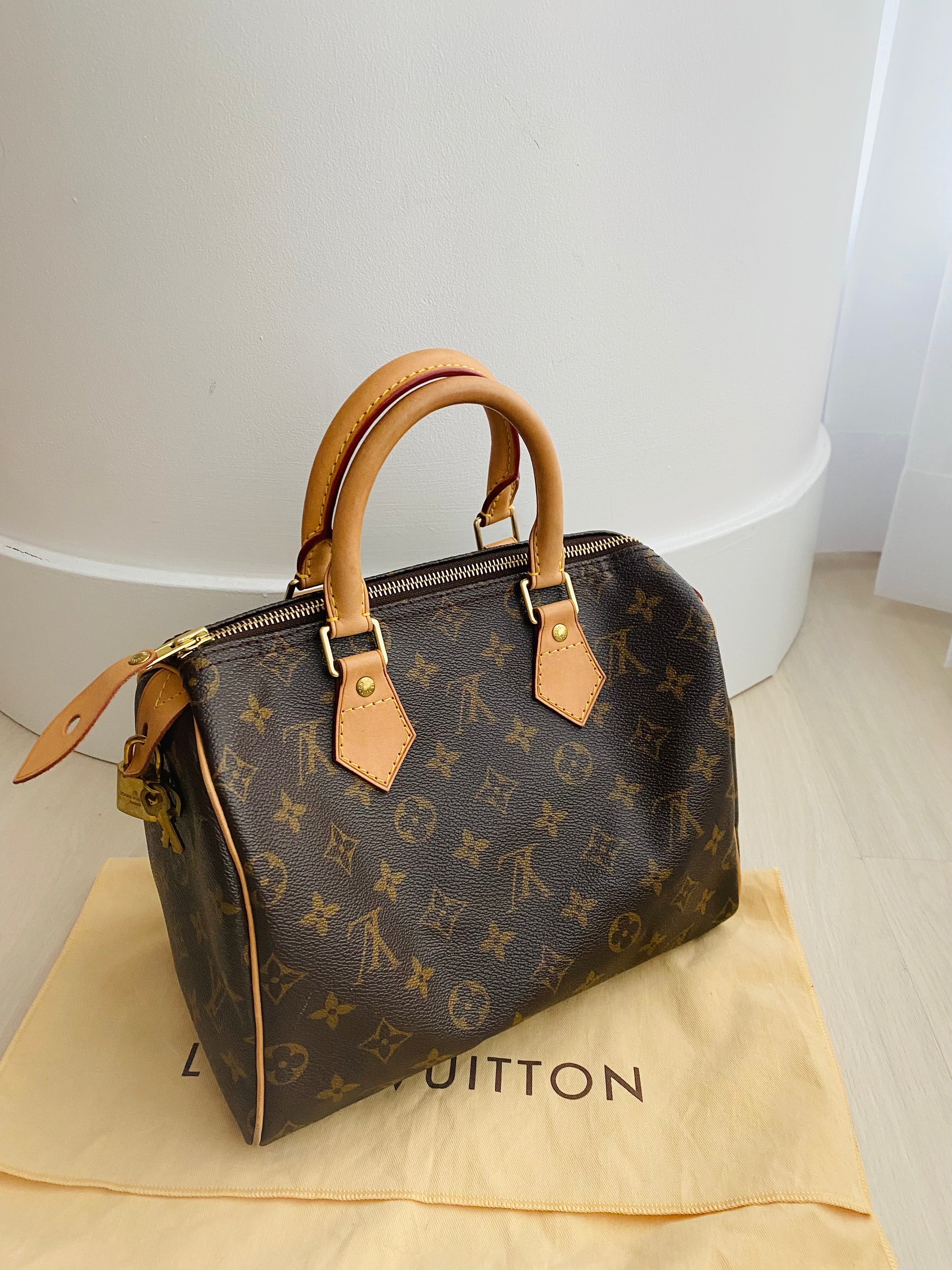 Louis Vuitton Speedy bag  Where to buy vintage and secondhand