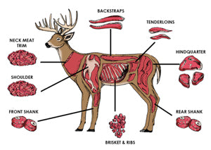 Tips For Cooking Deer Meat Ghilliesuitshop