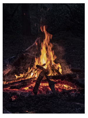 The best woods to set a campfire