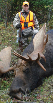 Moose Hunting Tips