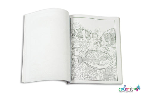 Featured image of post Large Coloring Books For Adults Near Me / Large print color by numbers for adults: