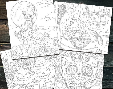 Halloween Coloring Book for Adults: Halloween Coloring Book for Adults  Relaxation: 50+ Unique Designs, Witches, Jack-o-Lanterns, Haunted Houses,  and M (Paperback), Blue Willow Bookshop