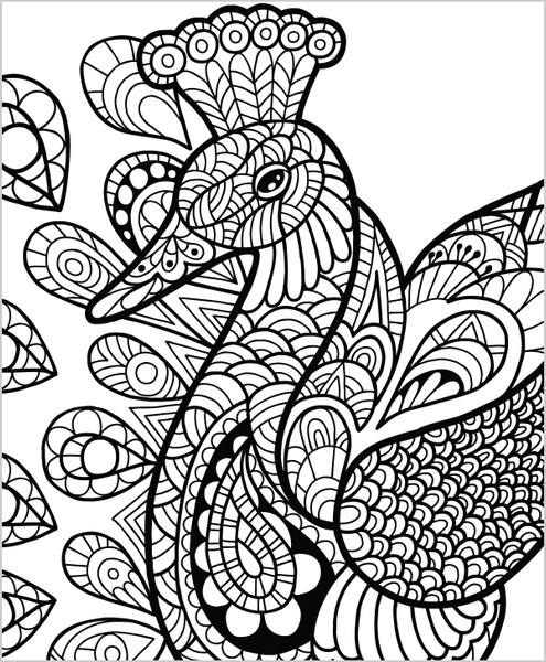 Download Wild Animals Coloring Book For Adults By Colorit