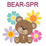BEAR-SPR Brown teddy bear sitting in colorful flowers