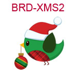 Christmas bird 2