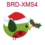 Christmas Bird 4