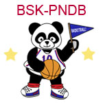 BSK-PNDB A boy panda holding a flag and a basketball