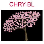 CHRY-BL A cherry blossom tree on a black background