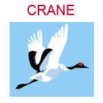 CRANE A flying crane on a blue background