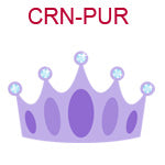 CRN-PUR Purple birthday crown
