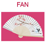 FAN A white flowered Chinese fan on a pink background