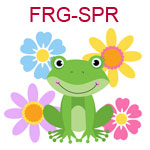 FRG-SPR Green frog surrounded by colorful flowers