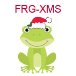 Frog with Santa hat
