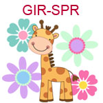 GIR-SPR Giraffe surrounded by colorful flowers