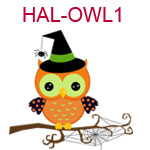 HAL-OWL1  Owl wearing a witches hat