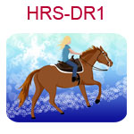 HRS-DR1 Fair skinned blond girl on brown horse blue star background