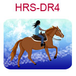 HRS-DR4 Medium skinned black haired girl on brown horse blue star background