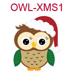 Owl in Santa hat 1