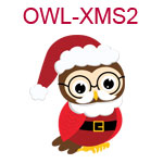 Owl in Santa hat 2