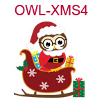 Owl with Santa hat in sleigh