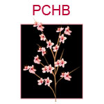 PCHB Peach blossoms on a black background