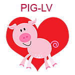 PIG-LV  Pig on red heart