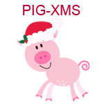 Pig with Santa hat