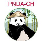 PNDA-CH Panda wearing Chinese cone hat