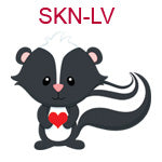 SKN-LV Black and white skunk holding red heart