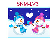 SNM-LV3 Boy and girl snowmen in blue and pink outfits