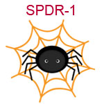 SPRD-1 A black spider in a yellow web