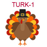 TURK-1 A turkey wearing a pilgrim hat
