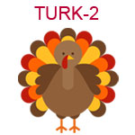 TURK-2  A turkey without hat