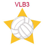 VLB3 A volleyball on a yellow star background