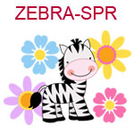 ZEBRA-SPR Zebra surrounded by colorful flowers