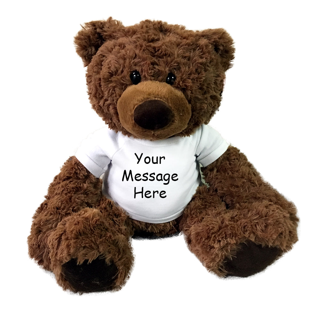 personalized teddy bear with picture